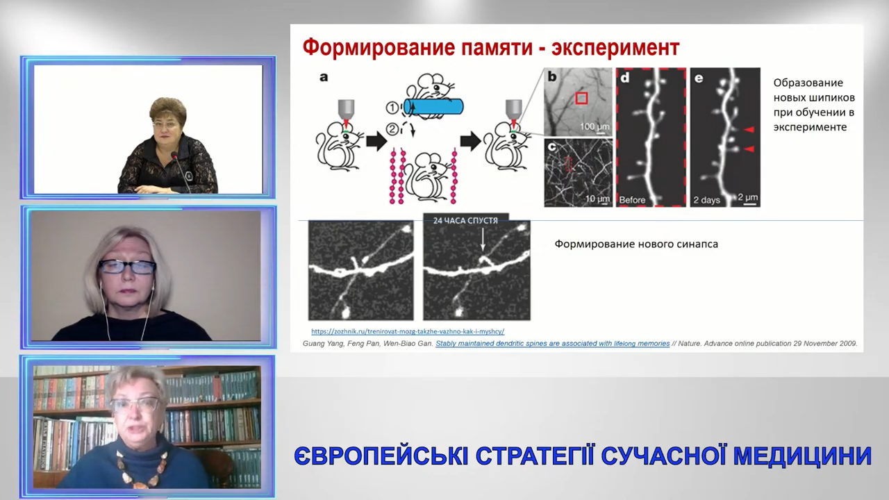 Європейські стратегії сучасної медицини  2020 