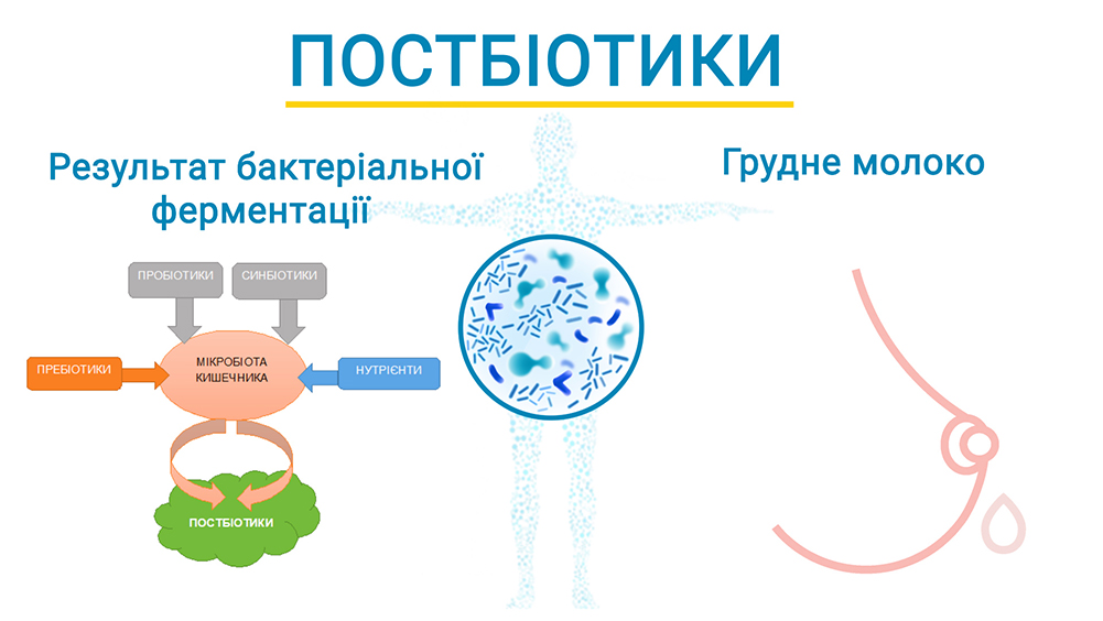 Найкращі дитячі суміші в рейтингу по відгукам педіатрів містять постбіотики