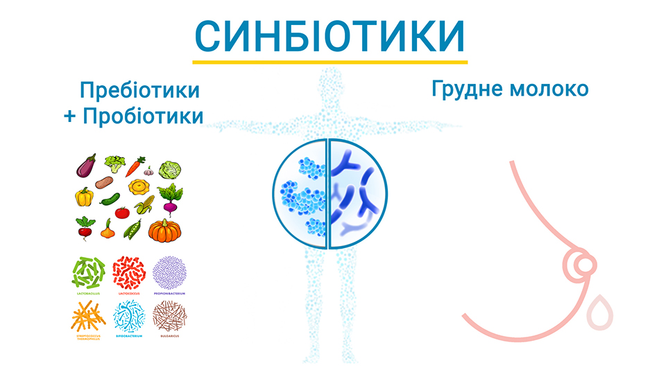 Найкращі дитячі суміші містять синбіотики