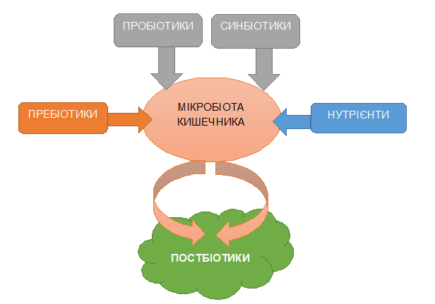 Постбіотики в дитячому харчуванні