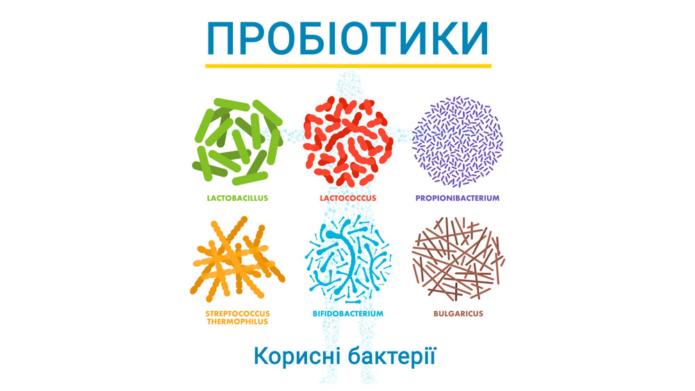 Пробіотики в дитячому харчуванні