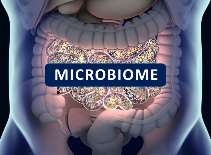 Микробиом у новорожденного 