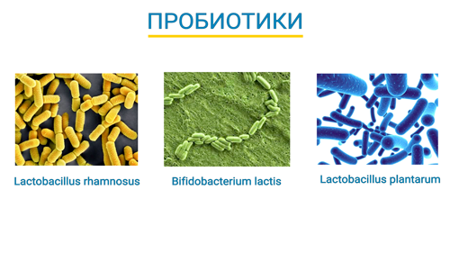 7 пробіотики-для лікування і профілактики грипу та ГРВІ