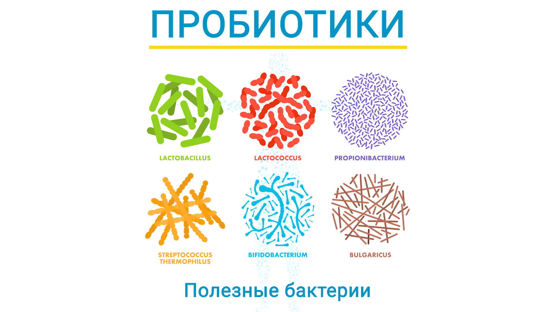 Пробиотики это. Пробиотики. Полезные бактерии пробиотики. Полезные бактерии для кишечника. Здоровый кишечник (пробиотики и пребиотики).