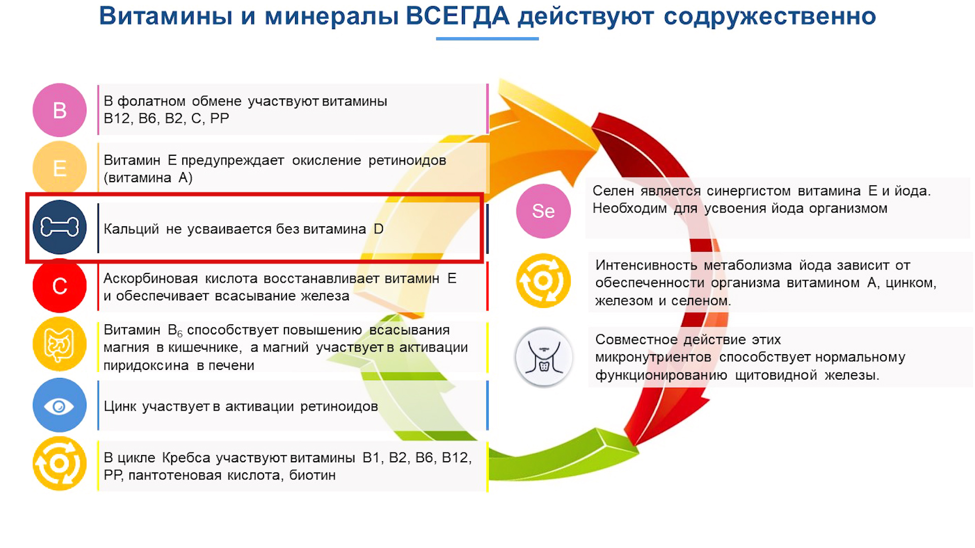 Здоровое питание во время беременности 1, 2, 3 триместр. Роль витаминов в  профилактике дефицитных состояний для беременной и плода - Университет  здорового ребёнка Няньковских