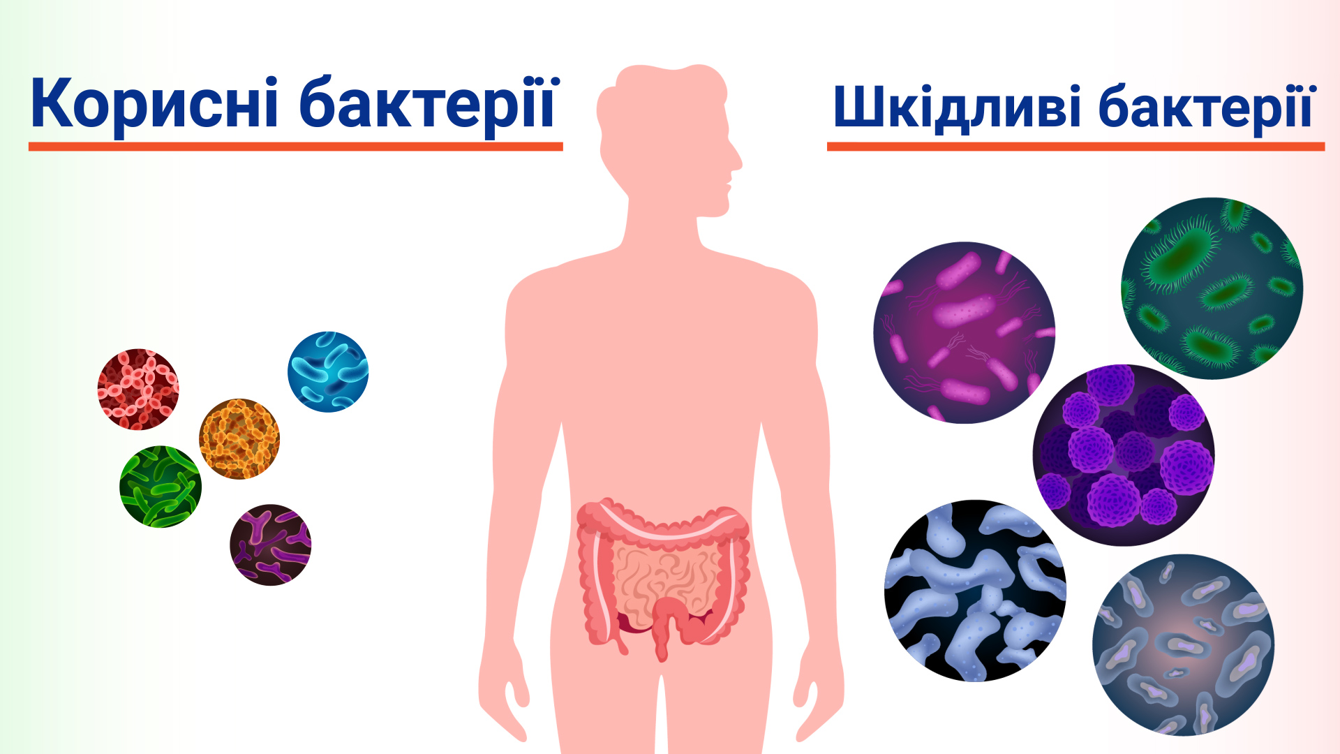 правильне харчування та старіння