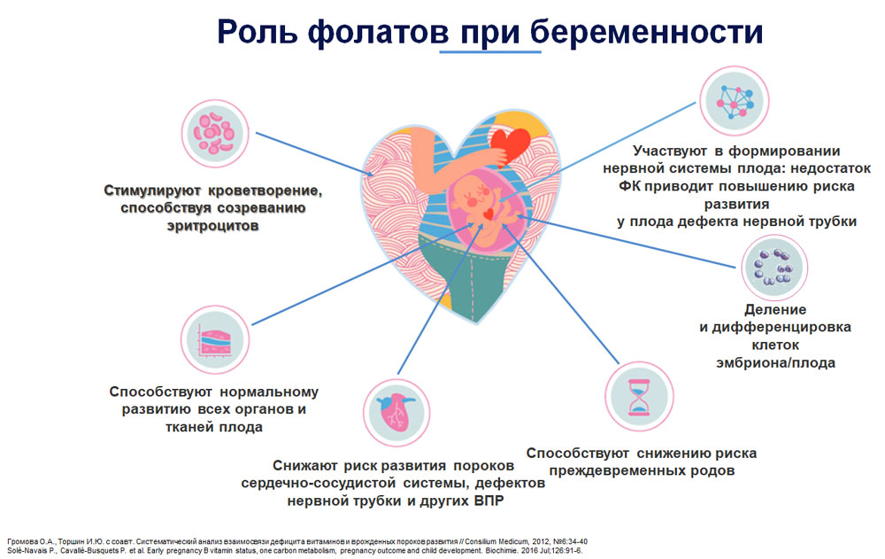 роль фолиевой кислоты во время беременности