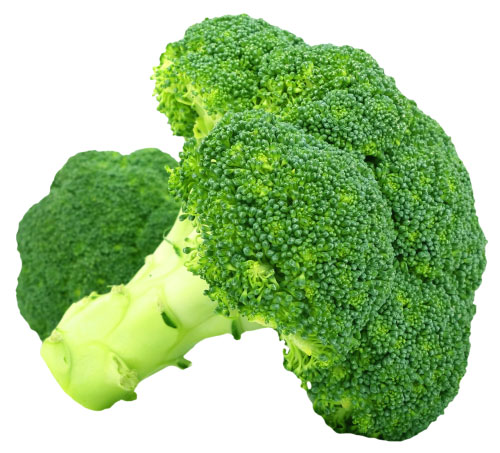 броколи в качестве овощного прикорма 