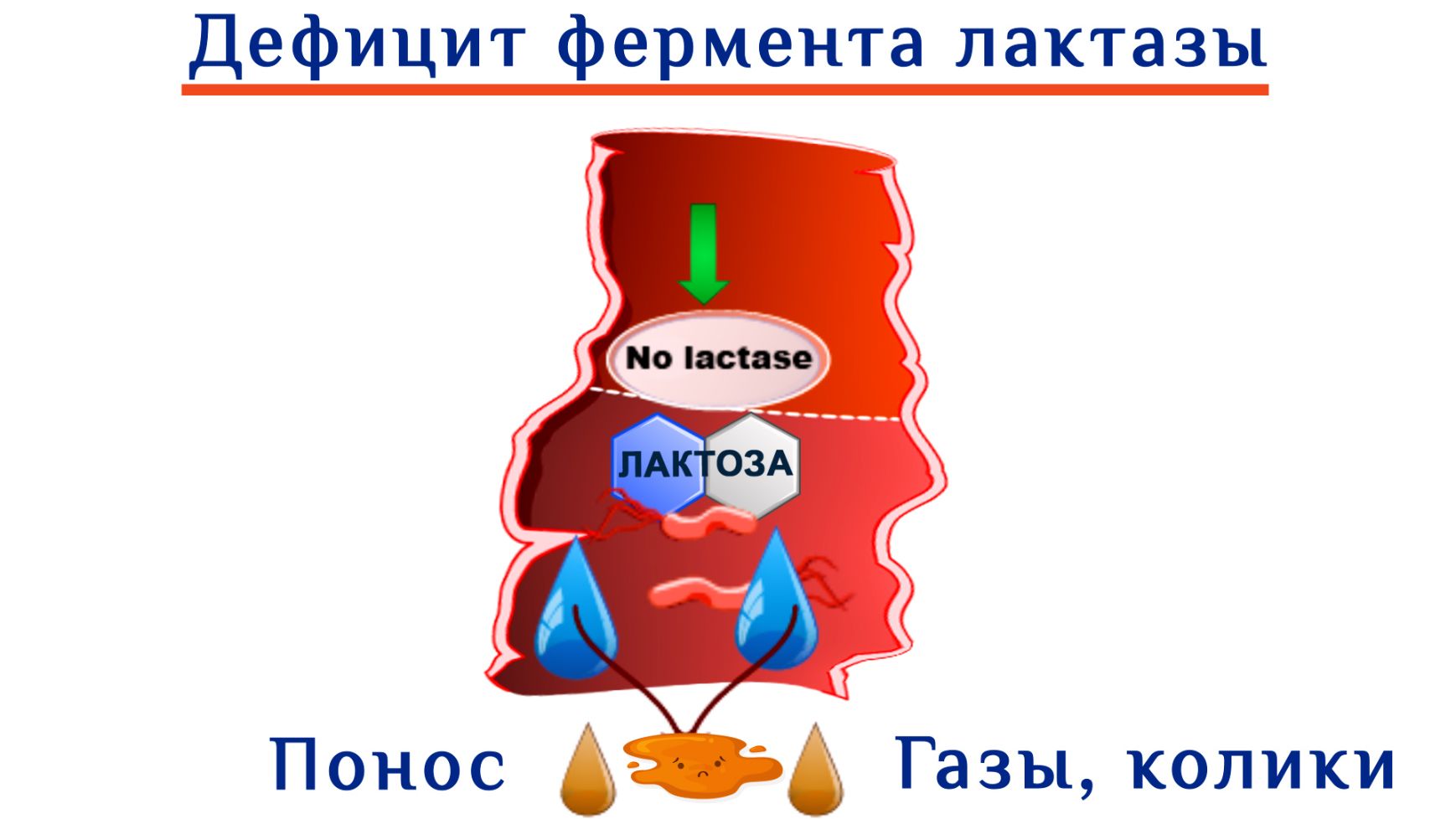 Вздутие живота и метеоризм у малышей: как избавиться. Причины, симптомы, лечение  вздутия живота - Университет здорового ребёнка Няньковских