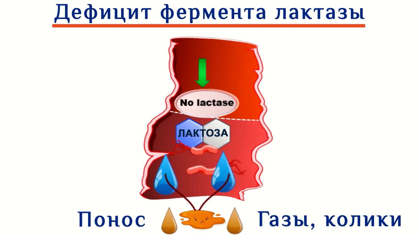 Диарея у младенца причины, как выглядит, и как бистро остановить понос у  грудничка в домашних условиях. Лекарства от поноса - Университет здорового  ребёнка Няньковских