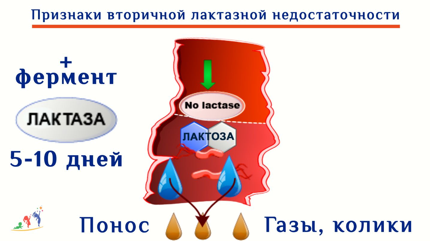 Диарея, понос у новорожденного признаки, причины, лечение. Симптомы и  лечение ротавирусной инфекции - Университет здорового ребёнка Няньковских