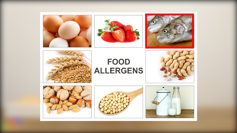 Приклади алергенних продуктів. Їхнє значення в прикормі дитини 