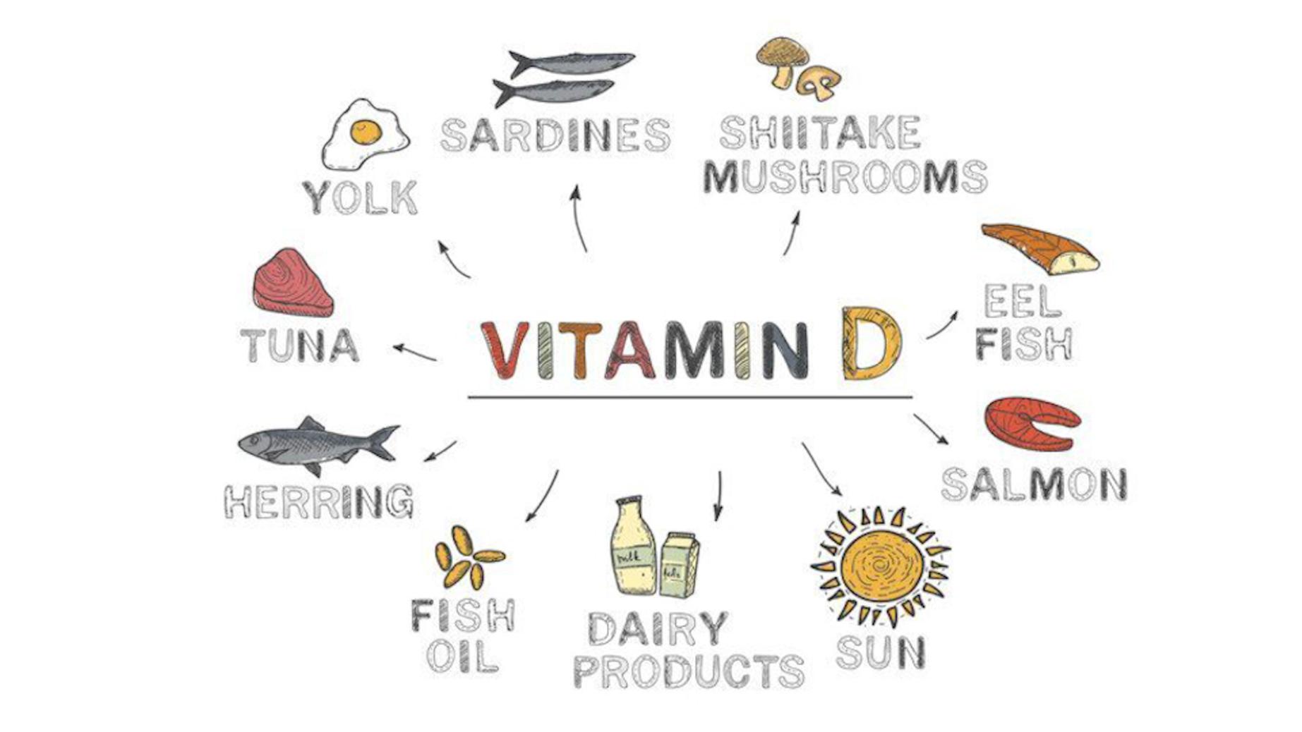 В каких продуктах содержится витамин D?
