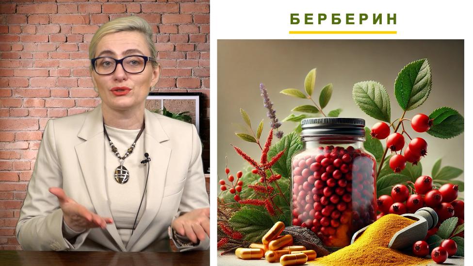 Берберин. Як приймати. Функції та вплив на організм. Берберин для схуднення