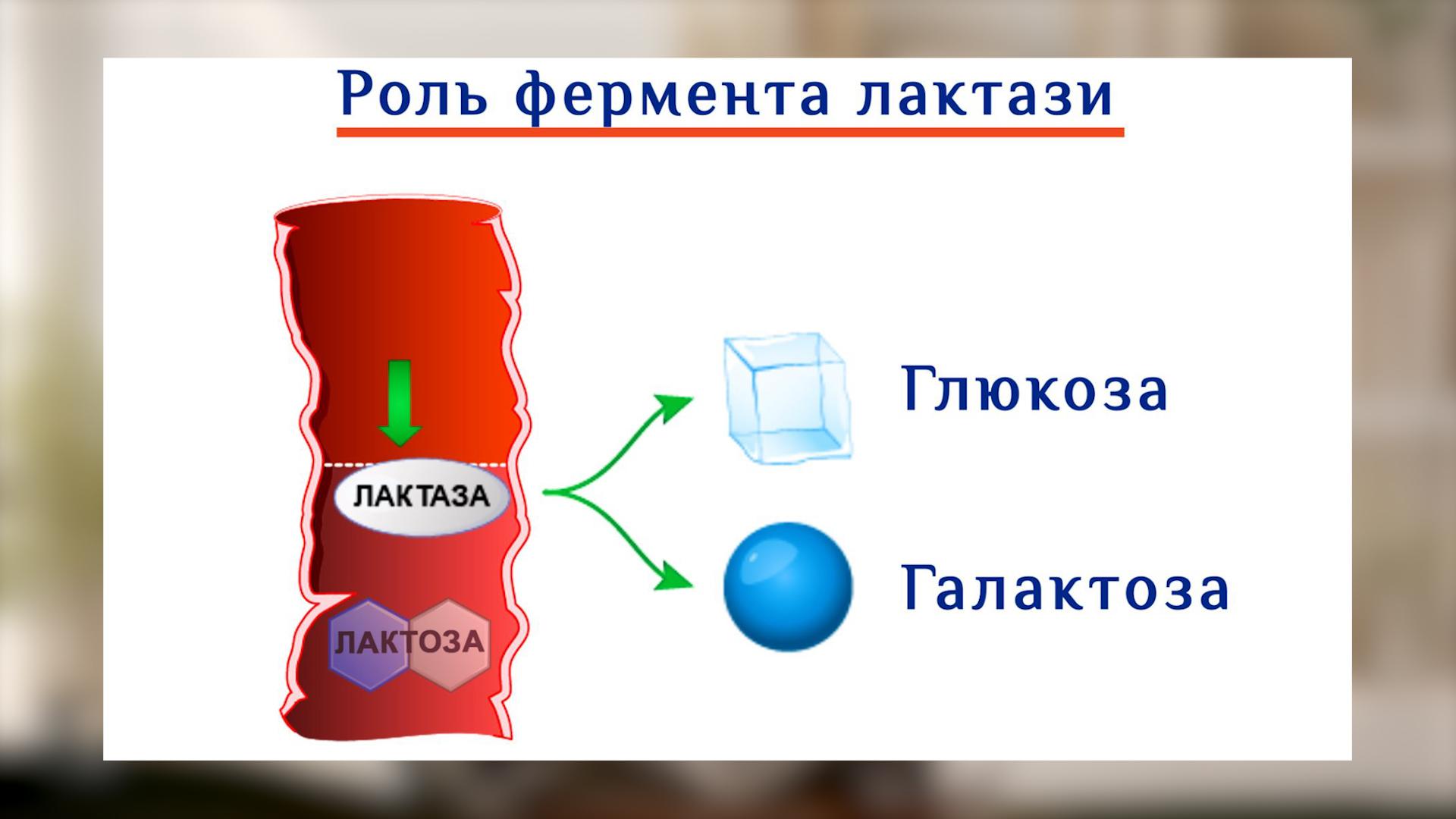 Причини алергічної реакції у малюків та дітей 