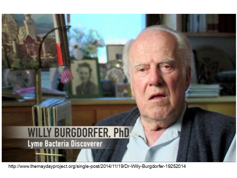 Willy Burgdorfer